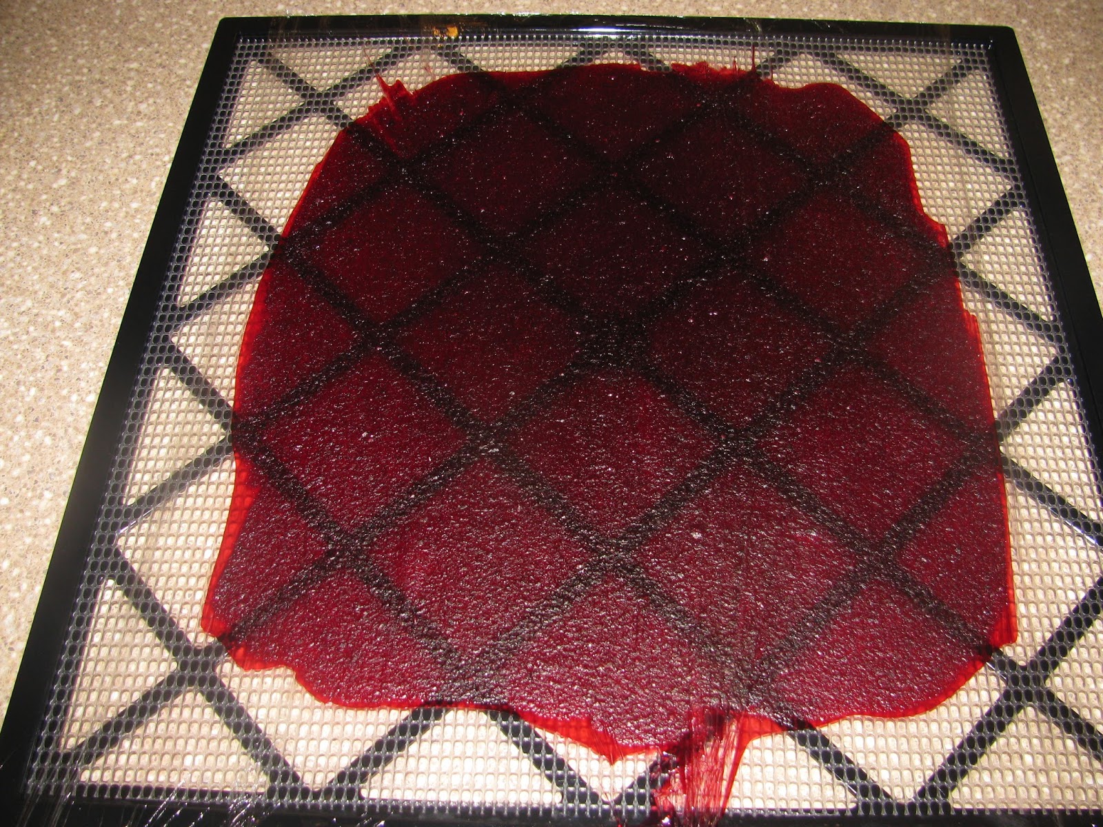 The Harried Homemaker Preps The Easiest Fruit to Grow for Survival