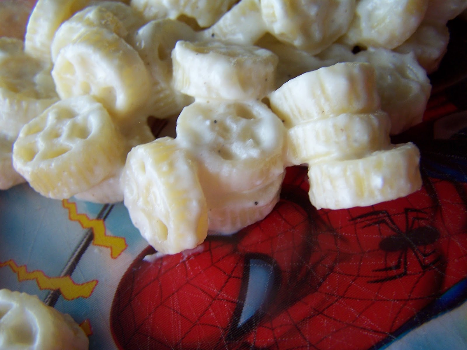 Hungry Janey Cottage Cheese Pasta Sauce