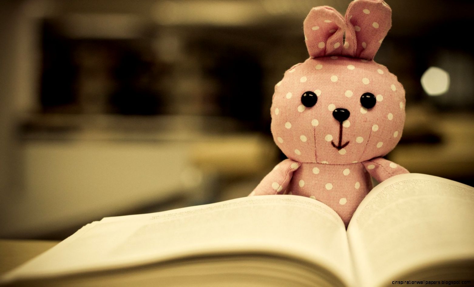 cute toys bunny red book photos babbit bokeh hd wallpaper cute toys bunny red book photos babbit bokeh hd wallpaper