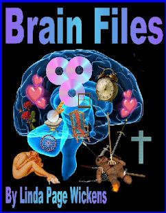 Brain Files (A Mystery Romance)