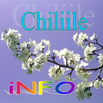 Chiliile info