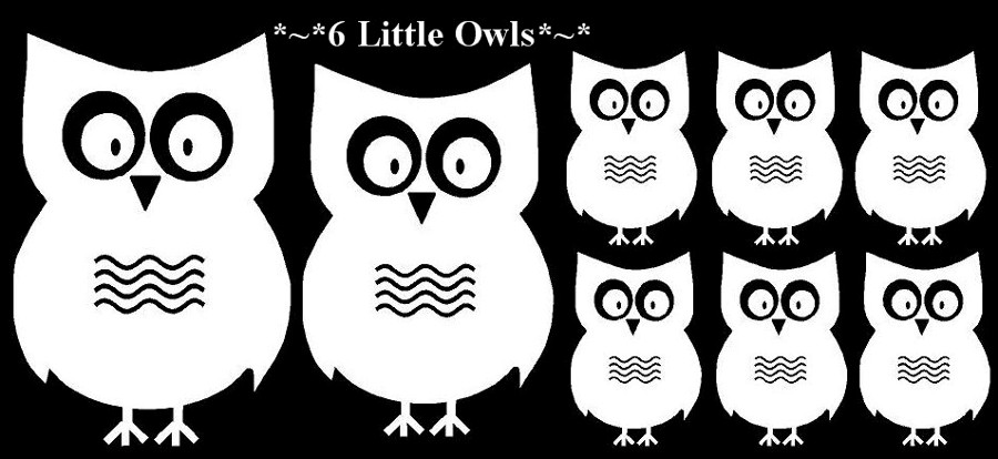 6 Little Owls