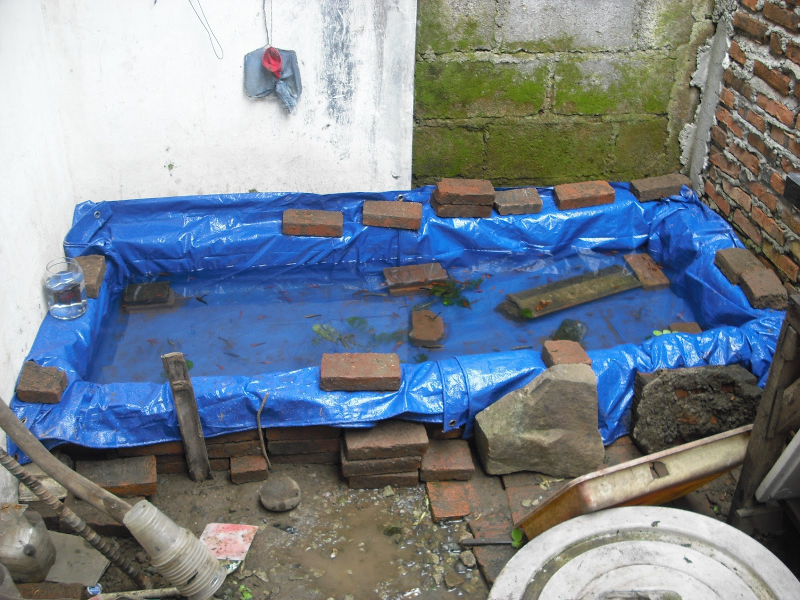 Kolam ikan Bongkar Pasang | My Ground Zero