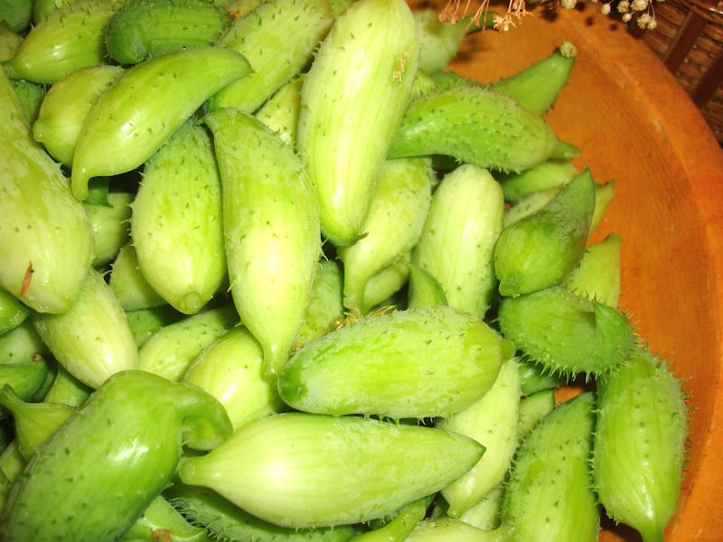 Taste of Nepal Barelaa (Balsam Apple) बरेला