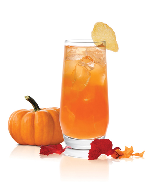 Pumpkin Spice 2 oz SKYY Infusions Ginger 05 oz Lime Juice