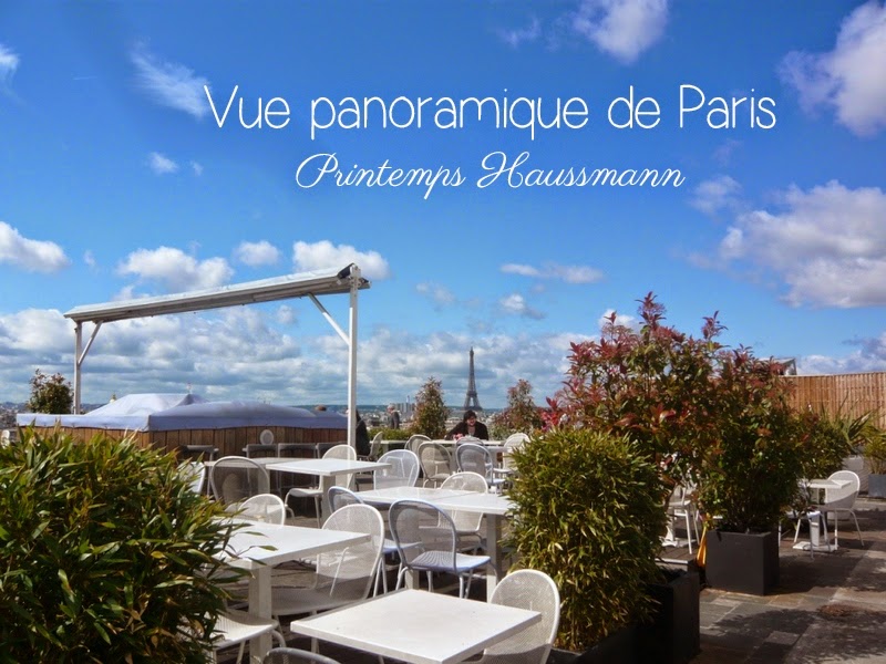 Vue panoramique de Paris - Printemps Haussmann