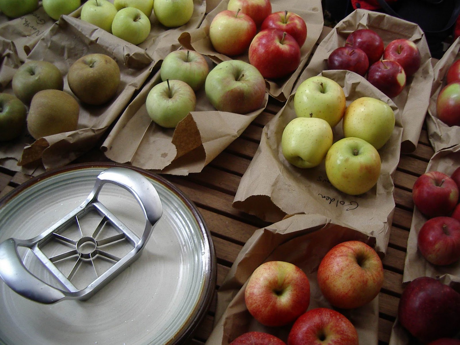 Little City Farm Apple Tasting and Fate of the Heirloom Apples