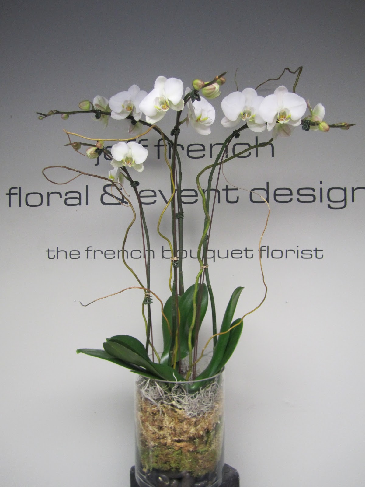 jeff french floral & event design: funeral flowers