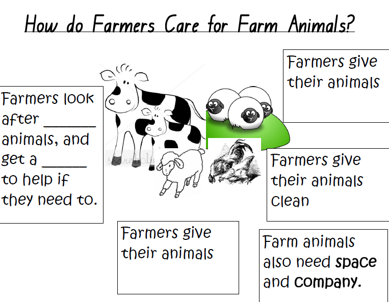 Flourishing in Kindergarten Farm Animals