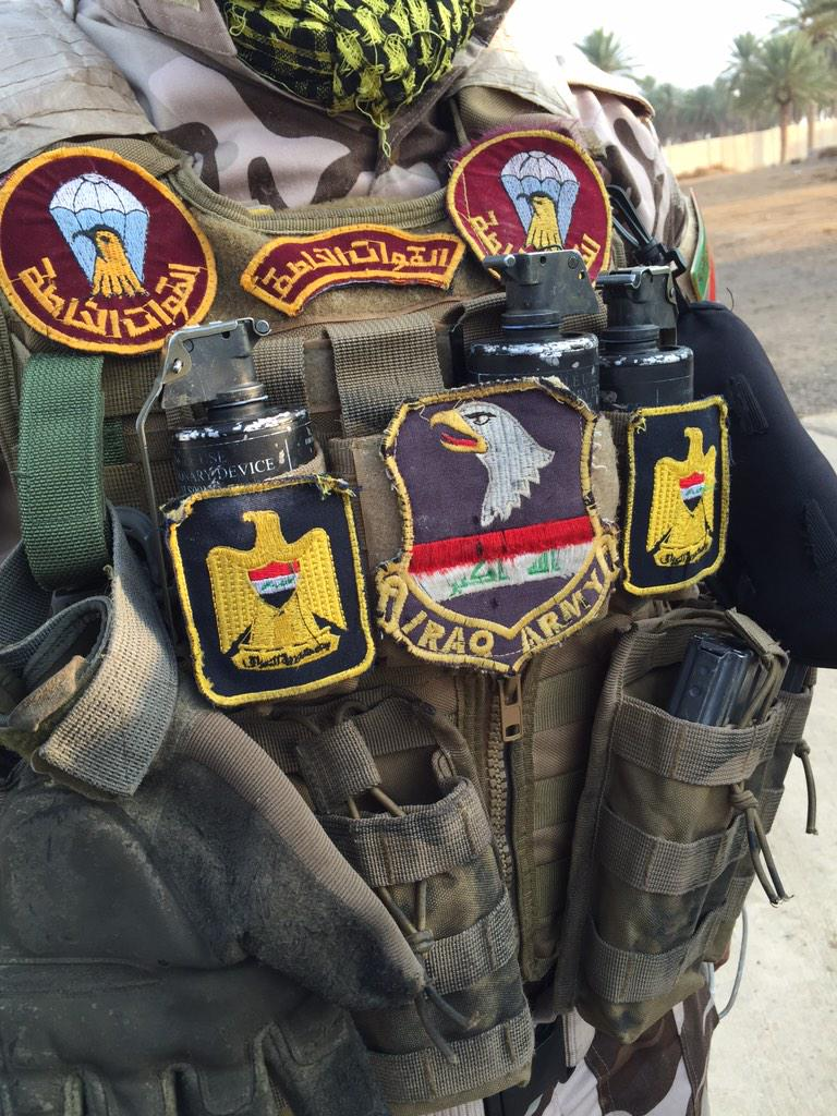 Iraq%2Barmy%2Bplagiarizes%2B101st%2BAirborne%2BDivision%2Bpatch.png