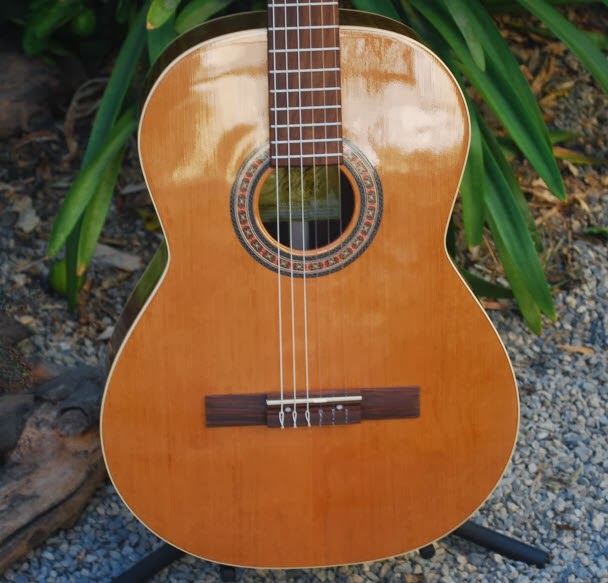 Rex and the Bass La Patrie Collection Acoustic Guitar Review