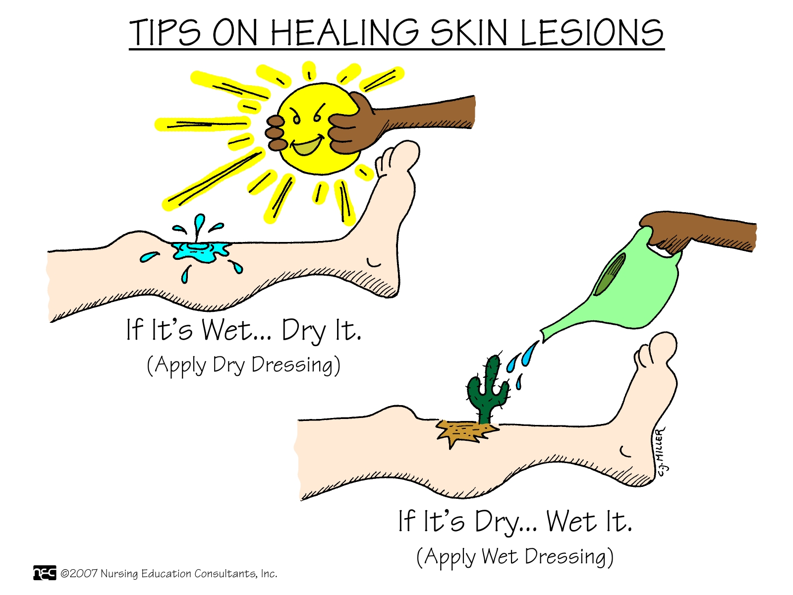 Tips+on+Healing+Skin+Lesions Tips+on+Healing+Skin+Lesions