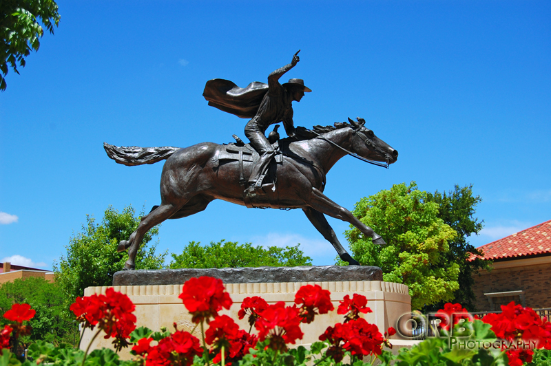 Totally Texas Tech Texas Tech Picture of the Week 42