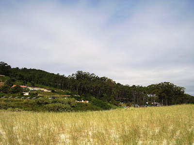 Escosistema Dunar Islas Cies