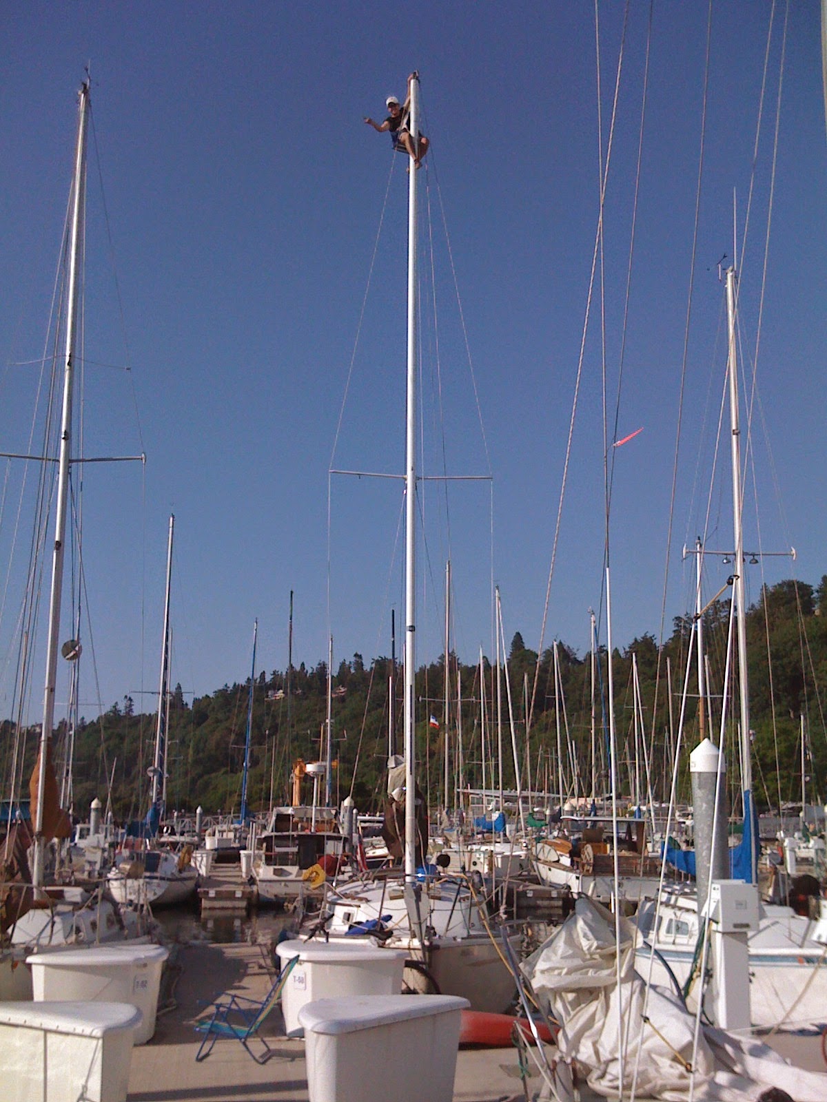 climbing the mast