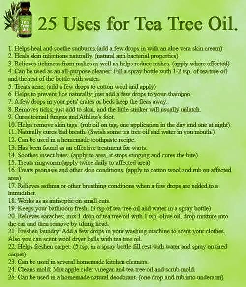Stranger in a Strange Land 25 Ways To Use Tea Tree Oil