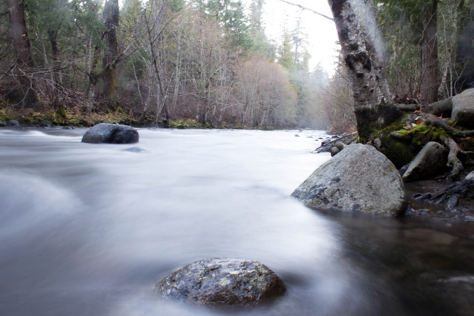 Pete and Buzz Guler Ice Caves Trout Lake. WA