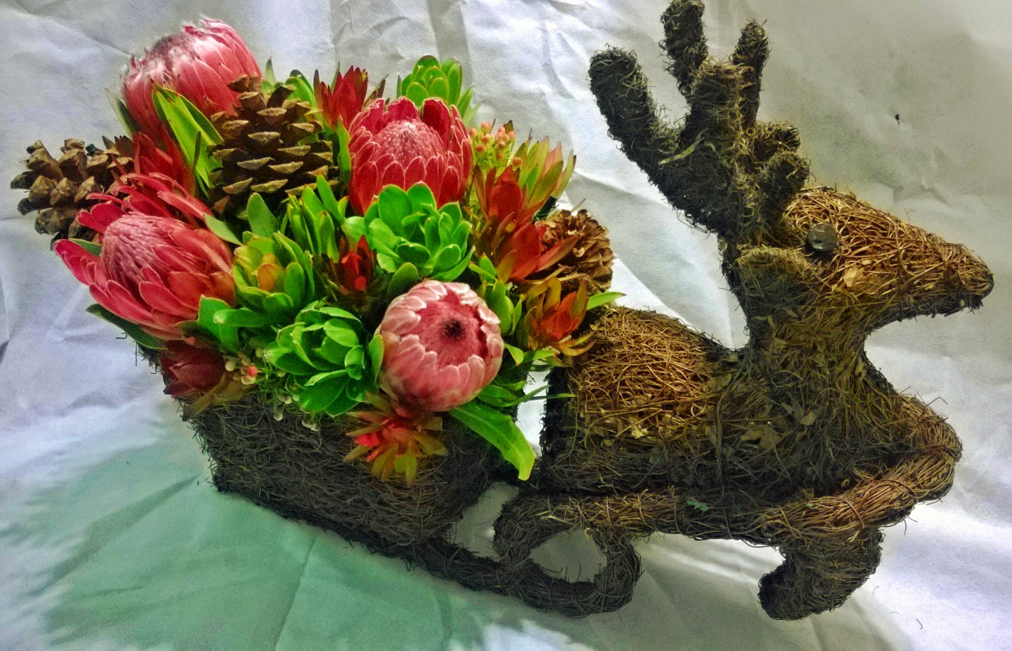 A Passion for Flowers 2014