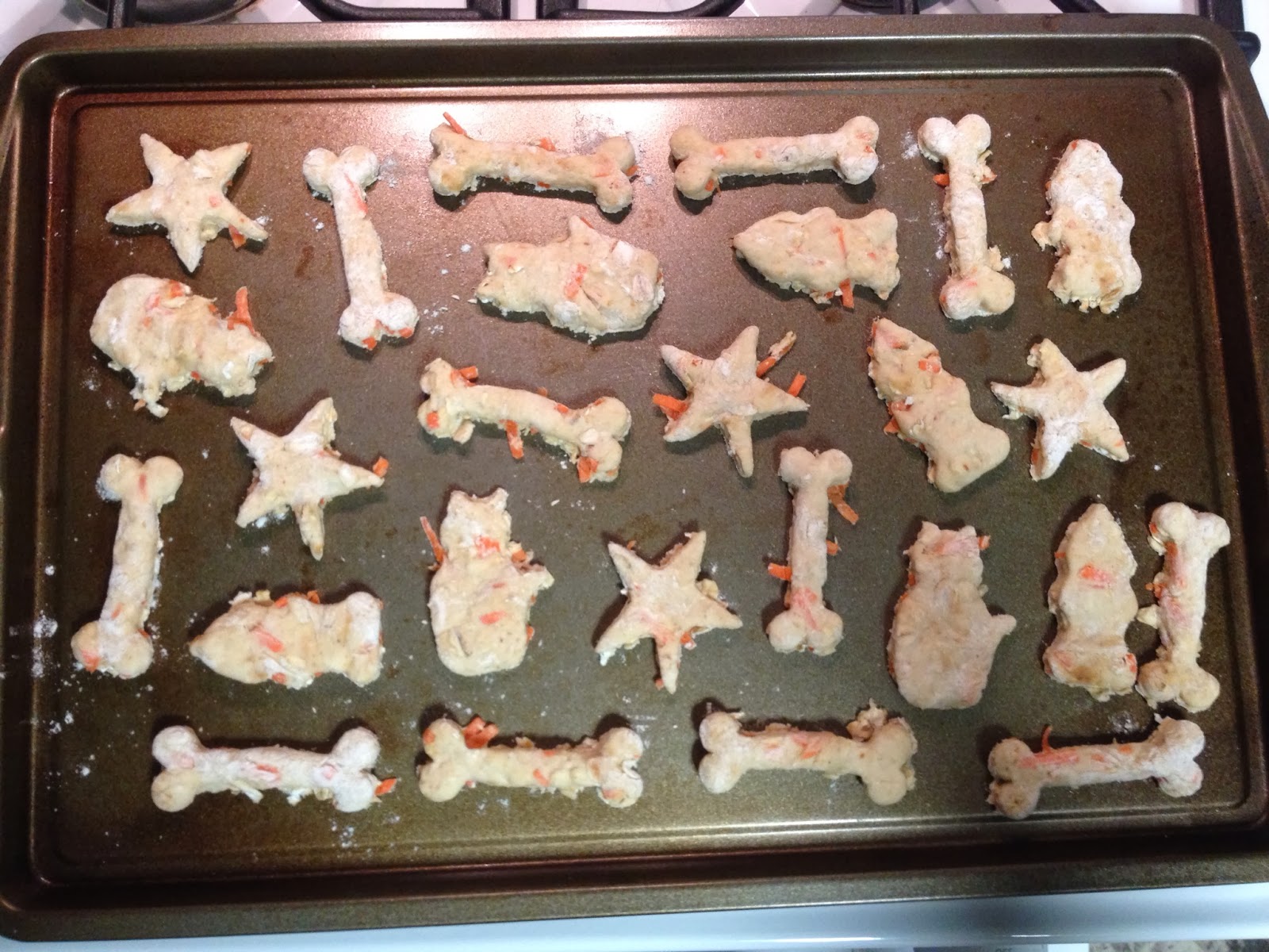 A (soy) Bean Homemade Vegan Dog Cookies!