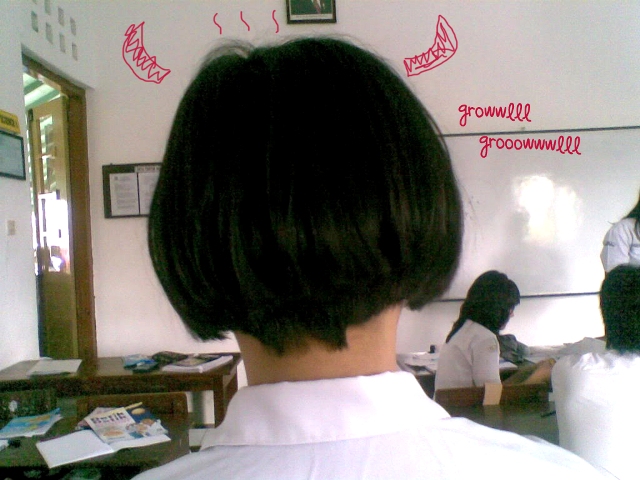 Cerpen Potong Rambut Wanita Gambaran