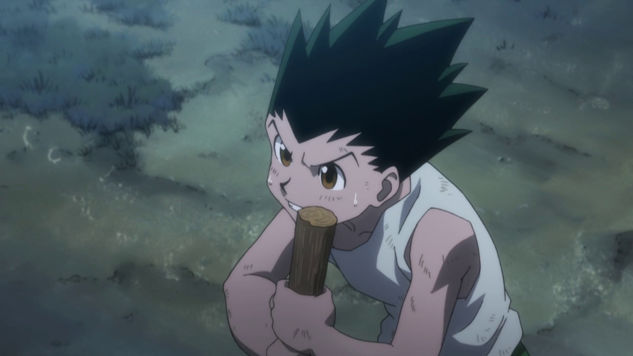 Hunter x Hunter 2011 (review) - Video Quest 