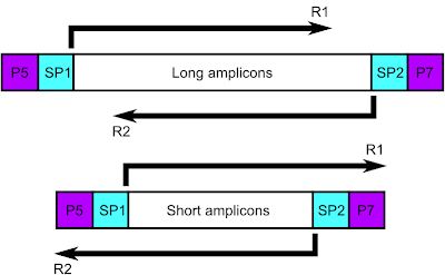 This post was sorely in need of a schematic