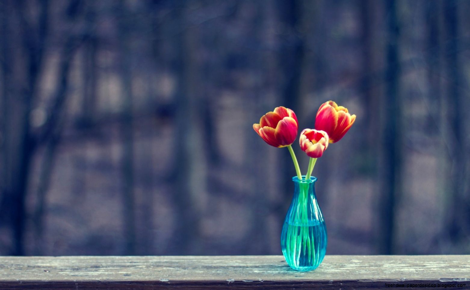Vase Tulips HD Wallpaper FreeWallsUp Vase Tulips HD Wallpaper FreeWallsUp
