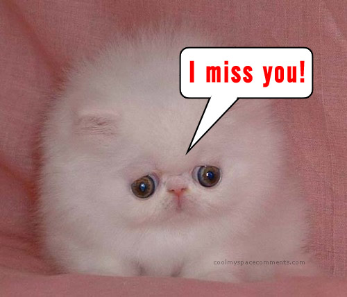 Pictures Miss You