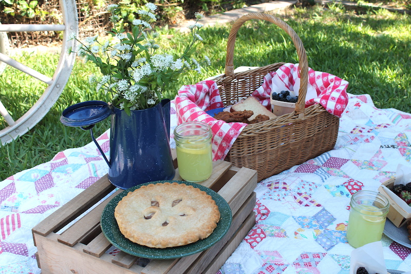 Little House on the Prairie OldFashioned Picnic LAURA'S little PARTY