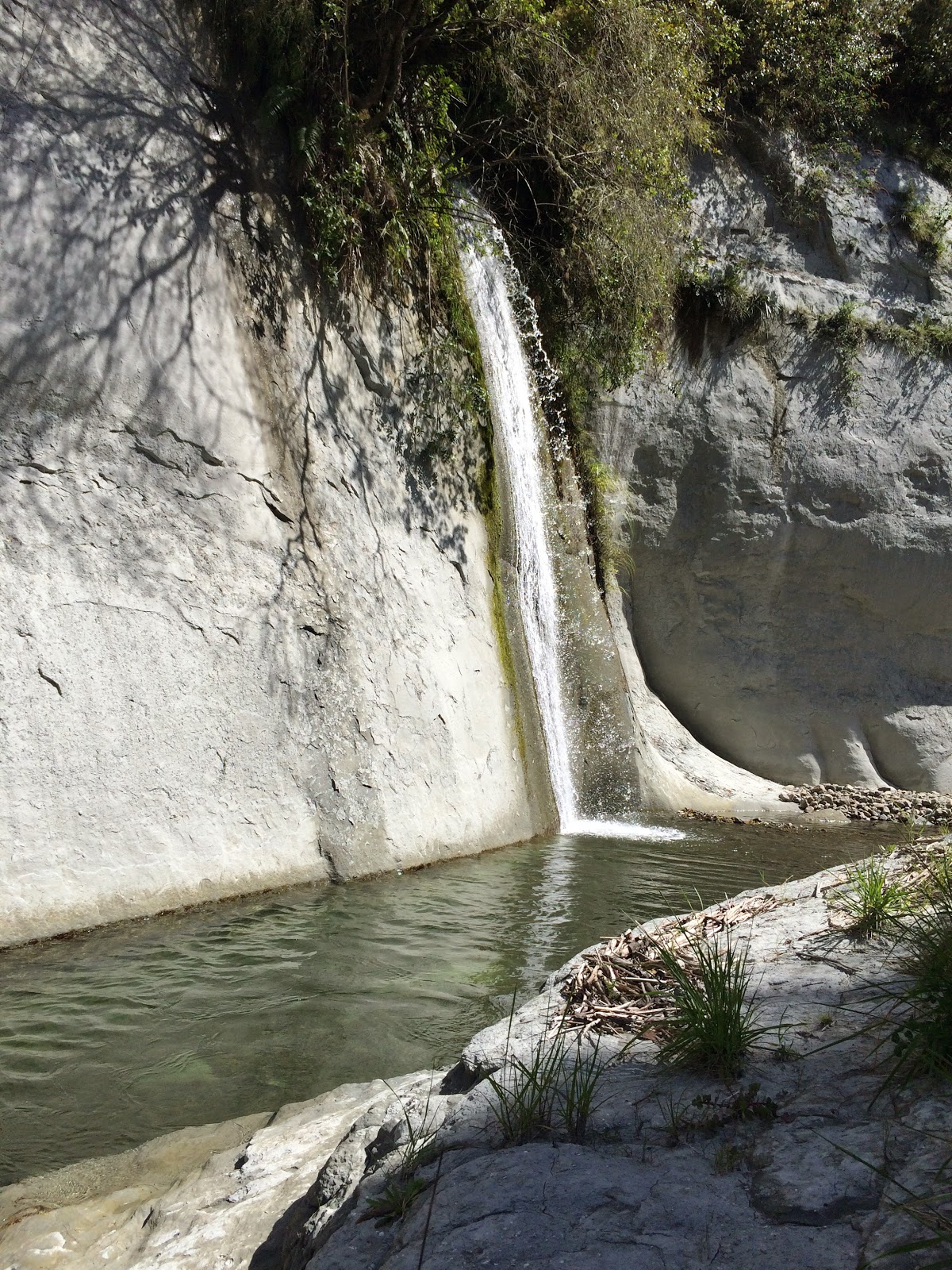 Ruahine Dress Circle Reserve | Adventures in Paradise