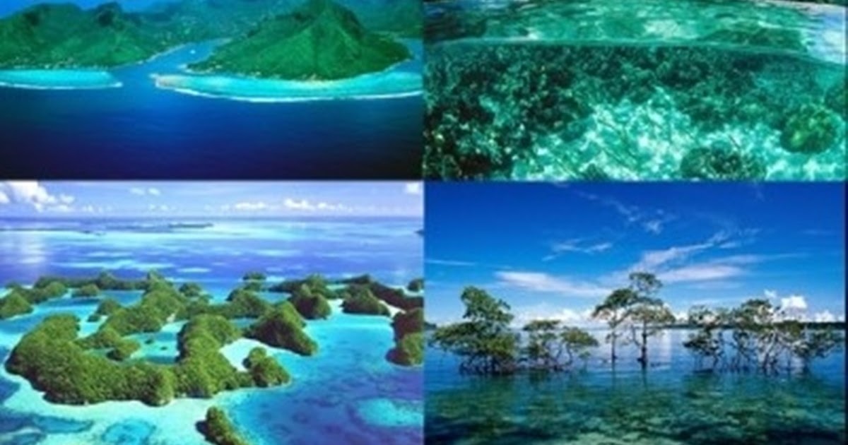 wallpapercollectionx: Wonderful Wallpapers.