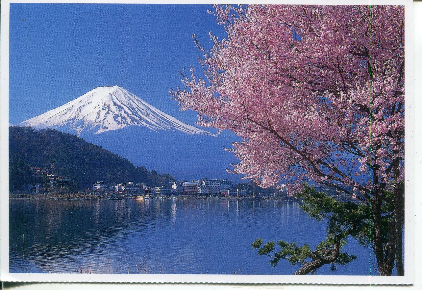 mt fuji postcard