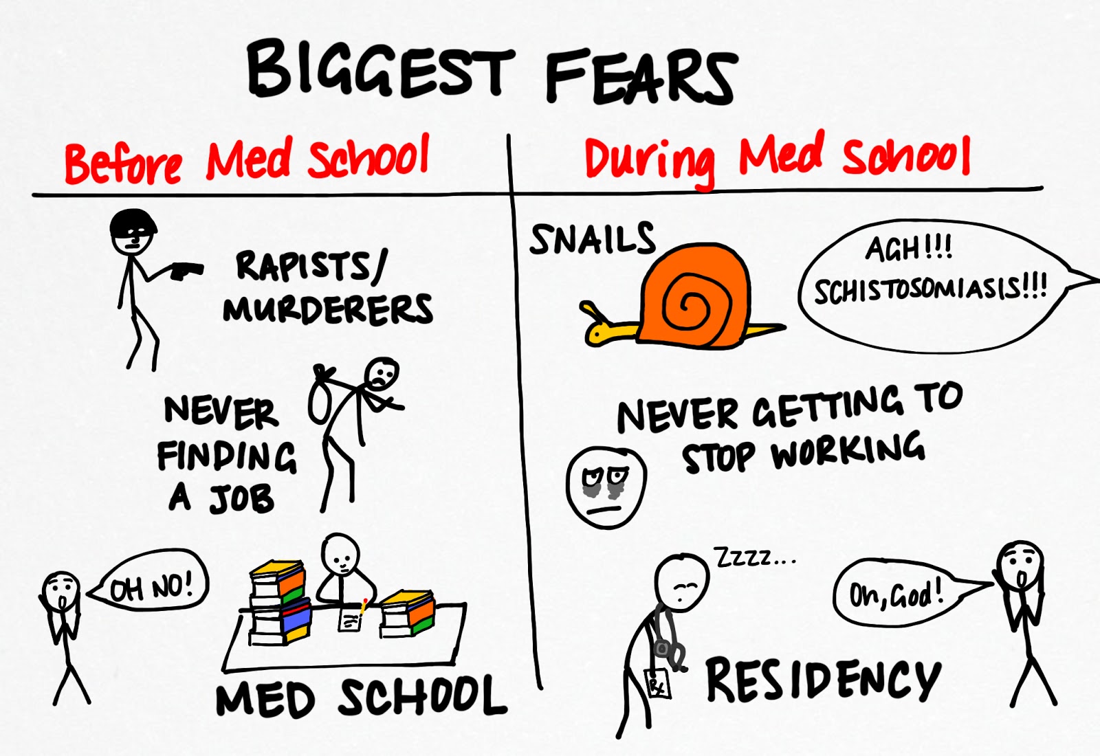 The Health Scout Biggest Fears
