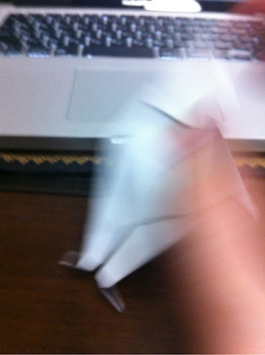 photo:06