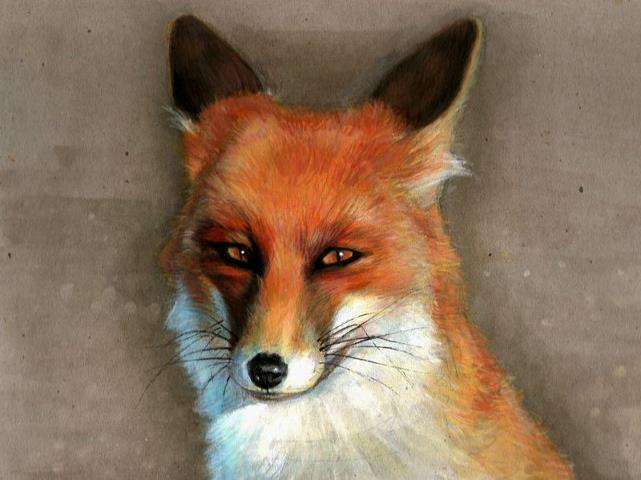 wet.fox.hxc