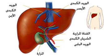 نقره لتكبير أو تصغير الصورة ونقرتين لعرض الصورة في صفحة مستقلة بحجمها الطبيعي