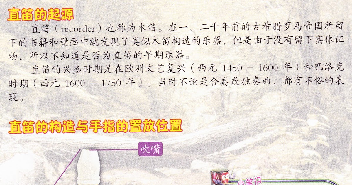 Dunia Muzik RECORDER 笛子