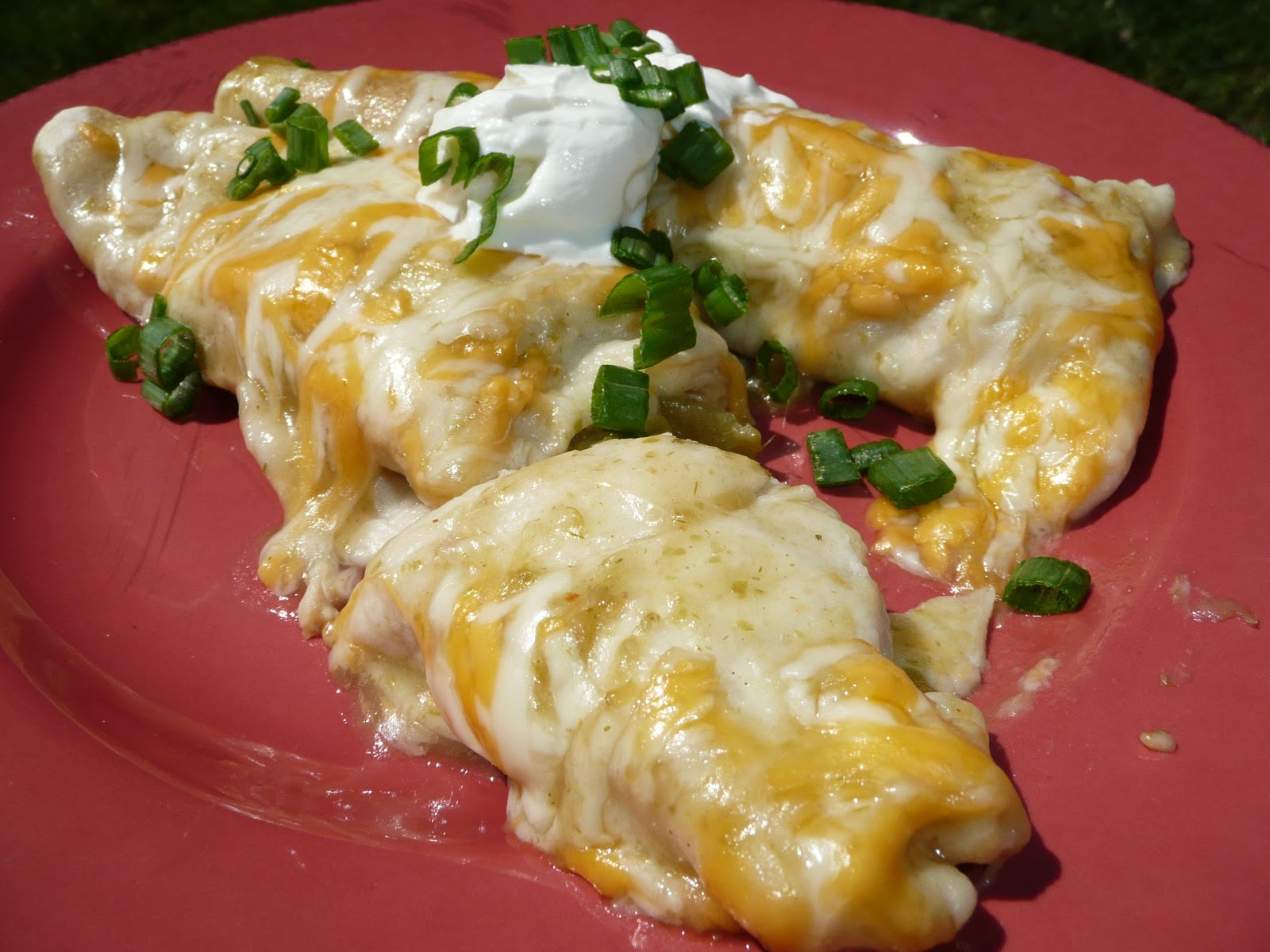 Everyday Dutch Oven Green Chile Chicken Enchiladas