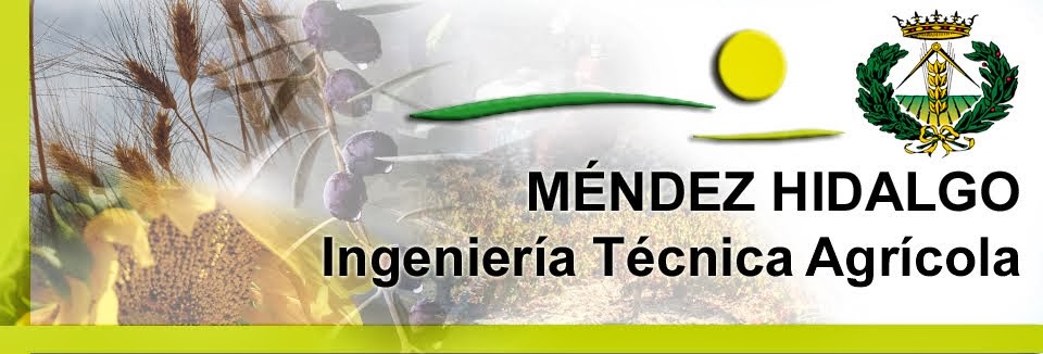 Ingeniería Técnica Agrícola Méndez Hidalgo