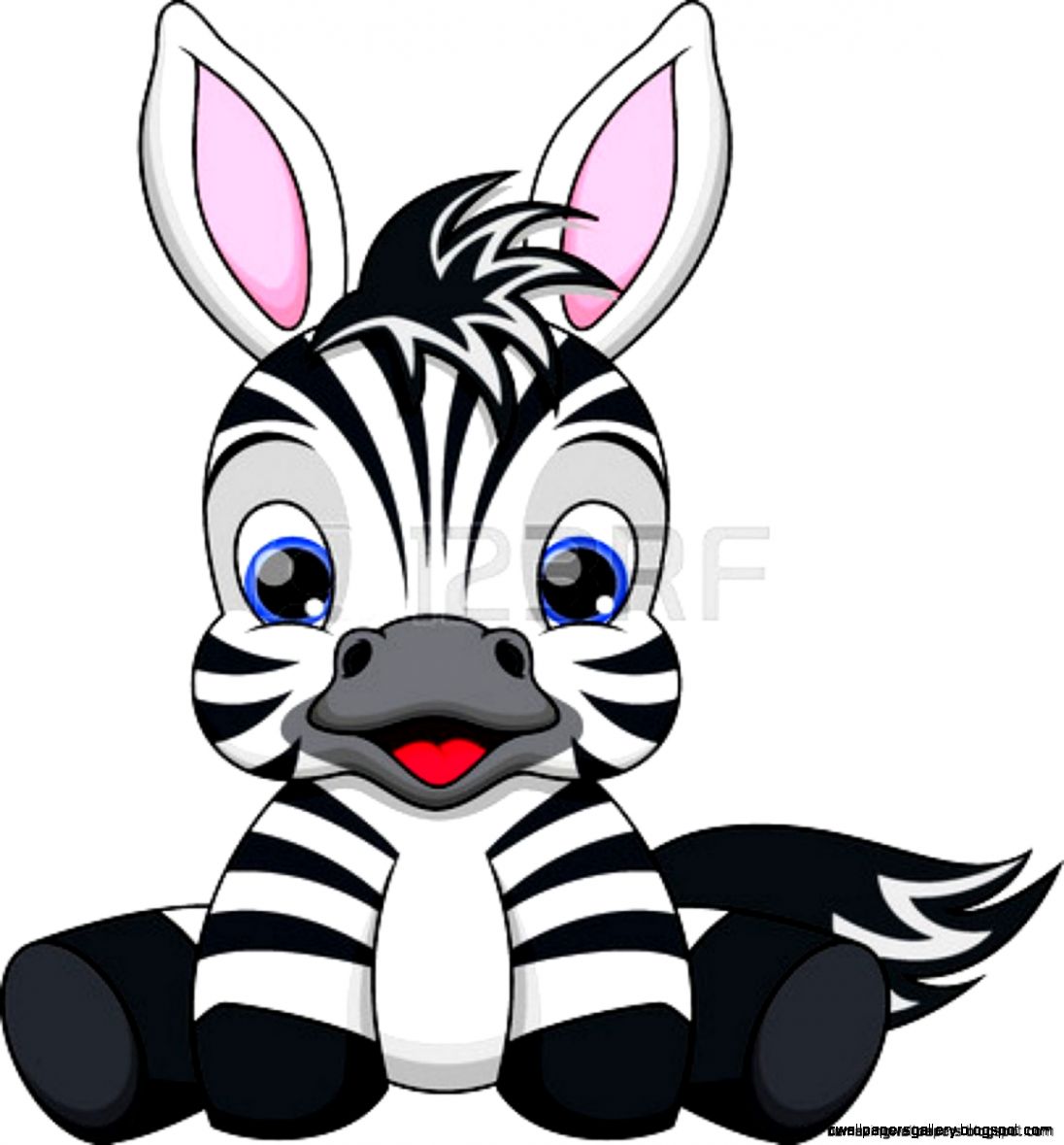 Cute Zebra Drawings Wallpapers Gallery