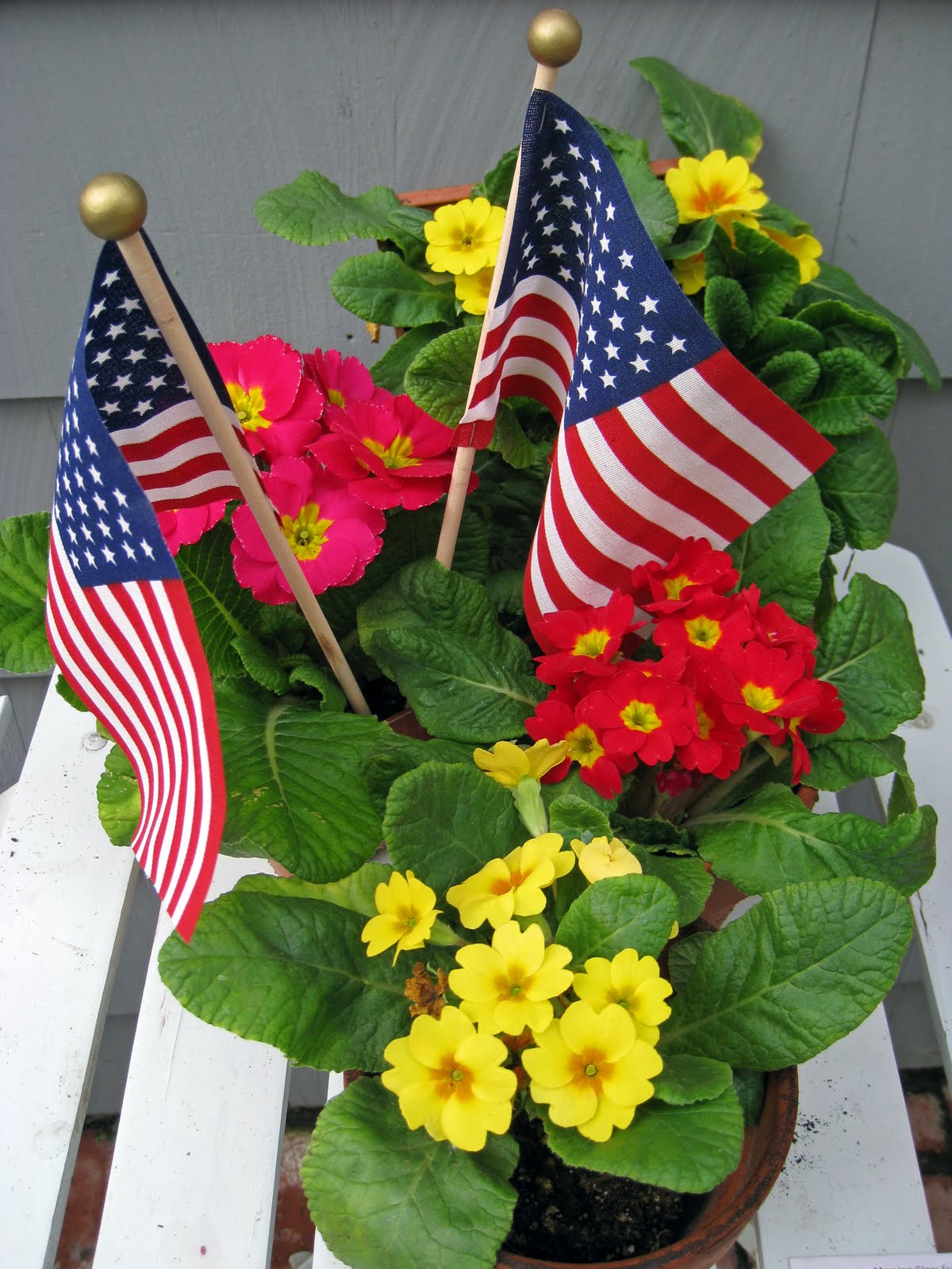 My Painted Garden Touches of Yellow and Red