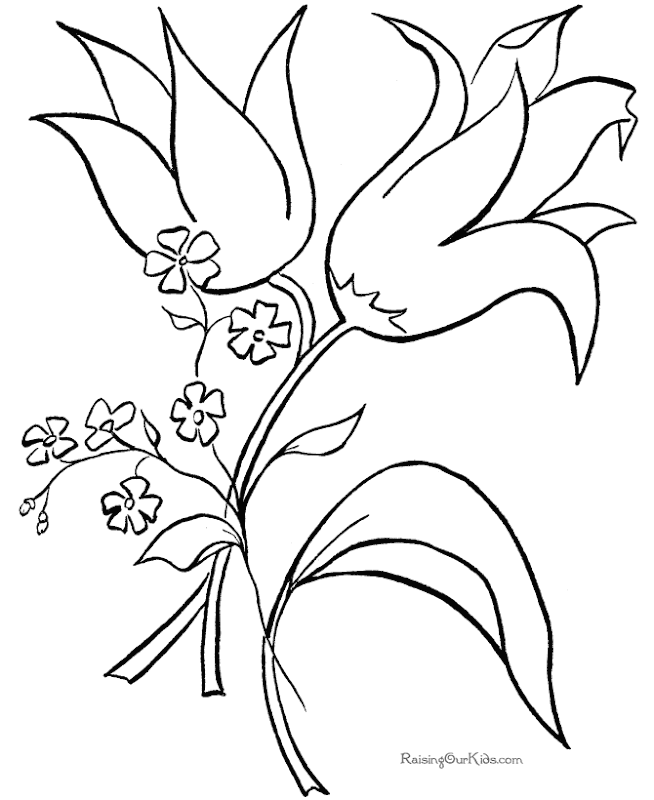 hd flower coloring pages printable download hq flower coloring pages title=