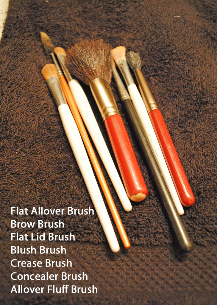 Style My Way My Guide to Makeup Brushes A Beauty Post