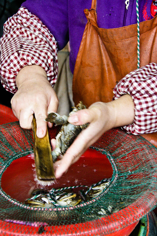 crab sperm