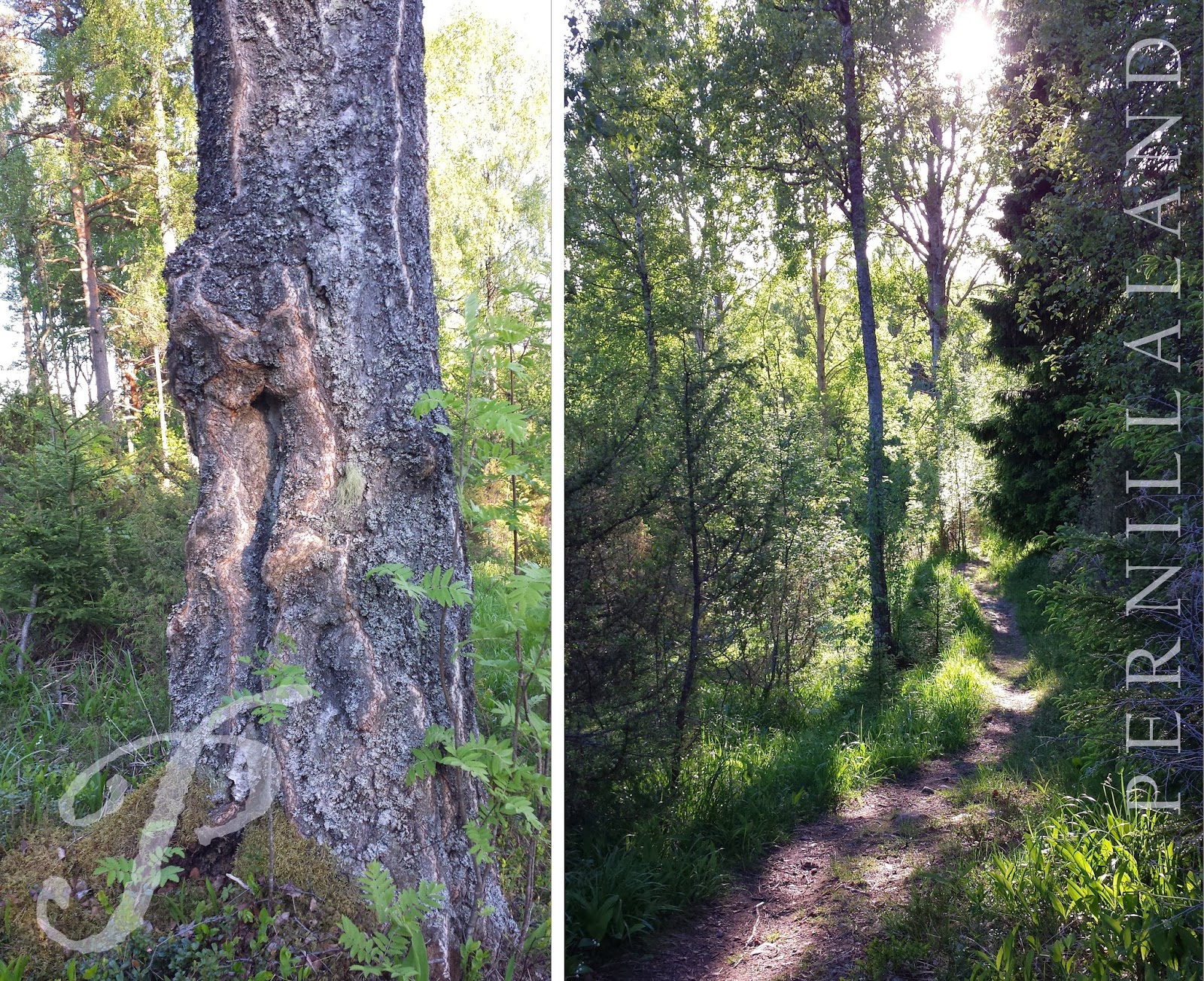 Pernillaland: bloggspecial: dalaristningar, potatismagi & givande ...