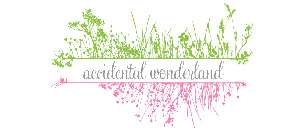 Accidental Wonderland