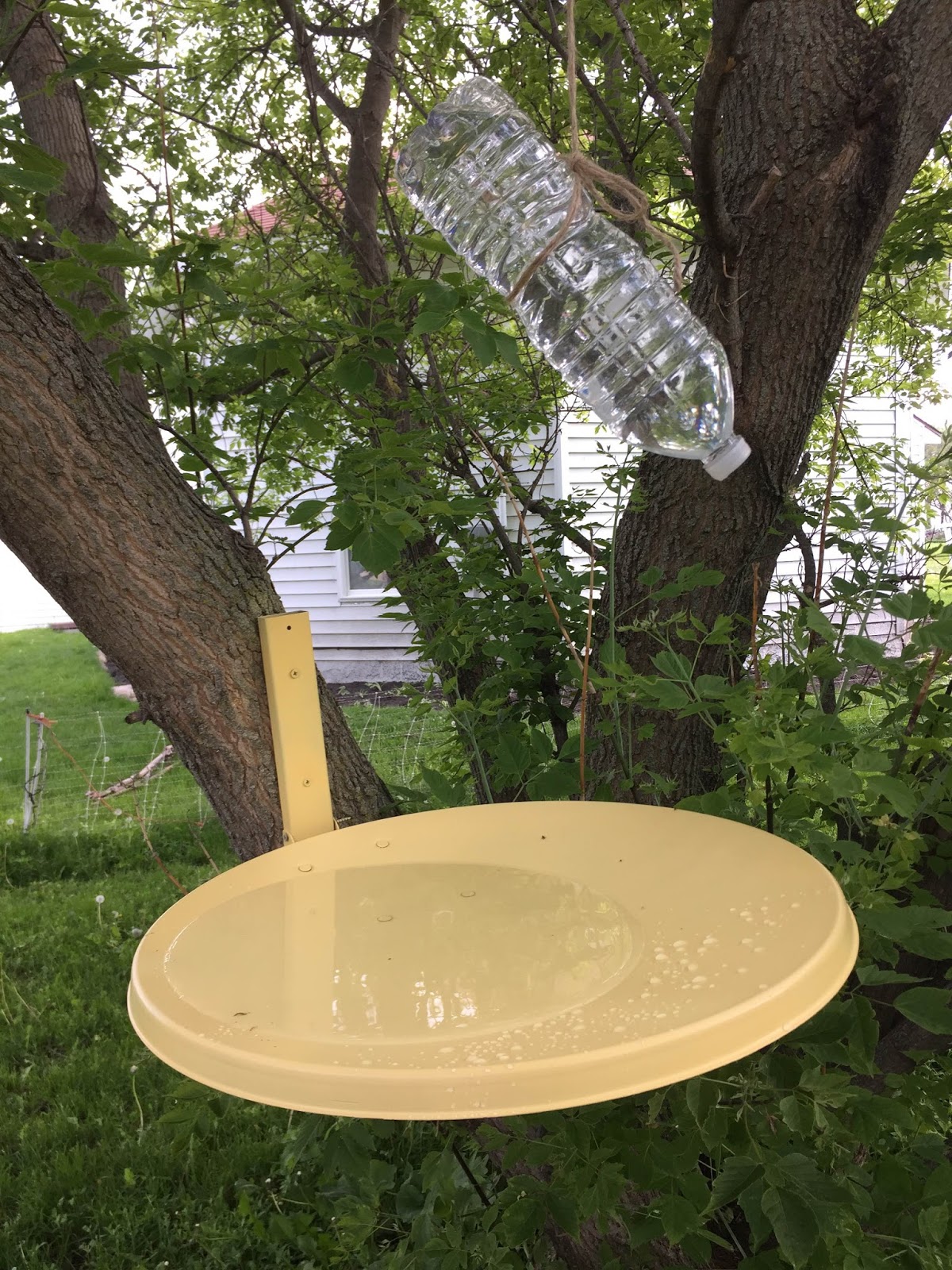 DIY Sunday Satellite Dish Bird Bath The Dabbling Crafter
