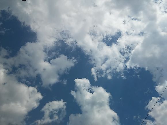 ÎÏοÏÎλεÏμα εικÏÎ½Î±Ï Î³Î¹Î± agriniolike ÏÏ
ννεÏιά