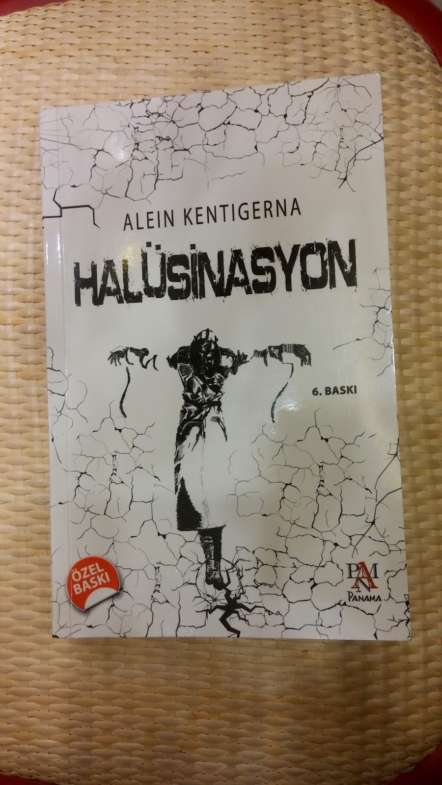 Halusinasyon Kitap Yorumu Alein Kentigerna