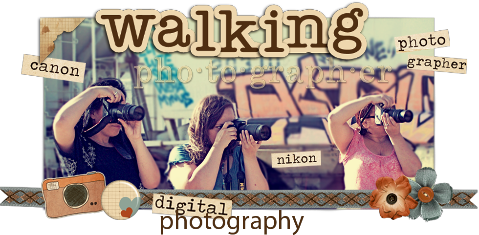 "Walking Photography"